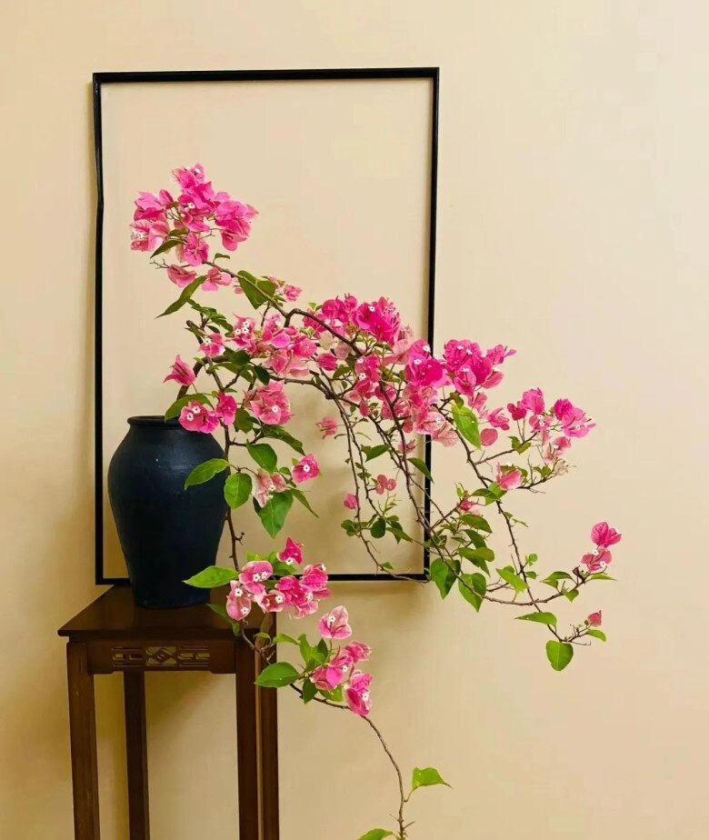 Sau 10 năm trồng hoa giấy tôi mới hiểu lý do tại sao ngày càng nhiều người cho nó vào danh sách đen - 2