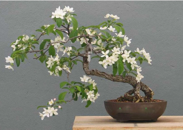 Tháng 6 nhuận là thời gian được tặng thêm tận dụng làm vài việc đơn giản sau để đón tháng cô hồn được cát lành - 1