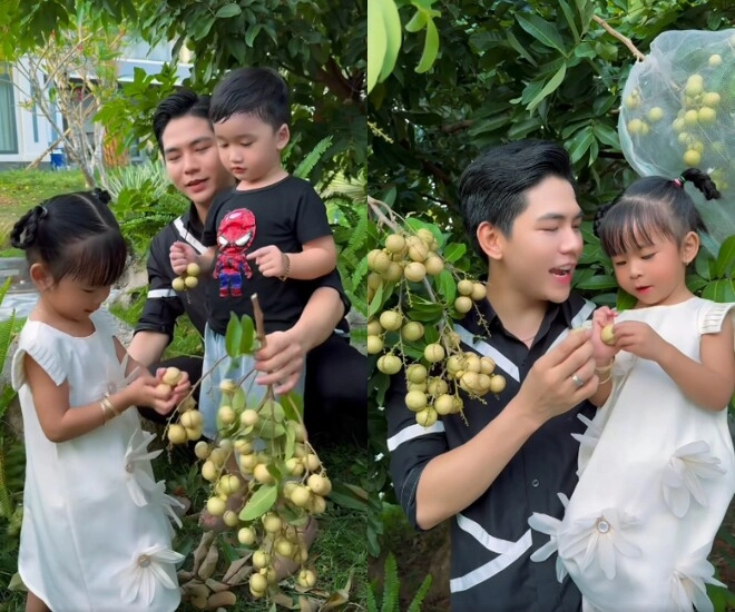 Thanh đoàn flex góc biệt thự có vườn trái cây trĩu quả được khuyên có thêm con với hà trí quang - 1