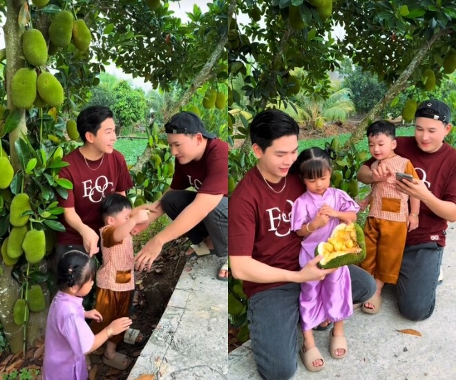 Thanh đoàn - hà trí quang đưa 2 con đi thu hoạch trái cây nhà trồng vườn rộng đến mức phải dùng xe điện để di chuyển - 2