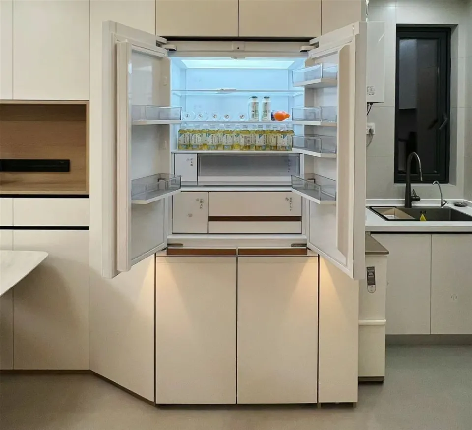 Thị trường có đủ loại tủ lạnh nhưng 8 kiểu này đừng mua biết rồi nhớ nhắc người thân nhé - 5