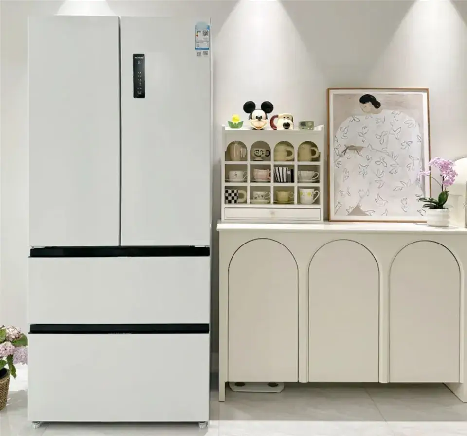 Thị trường có đủ loại tủ lạnh nhưng 8 kiểu này đừng mua biết rồi nhớ nhắc người thân nhé - 6