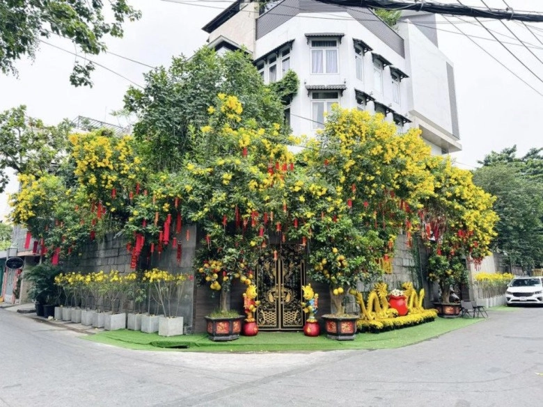 Thông tin đàm vĩnh hưng phải cắt lìa 4 ngón chân là thật bị rao bán biệt thự giữa ồn ào kiện cáo - 6