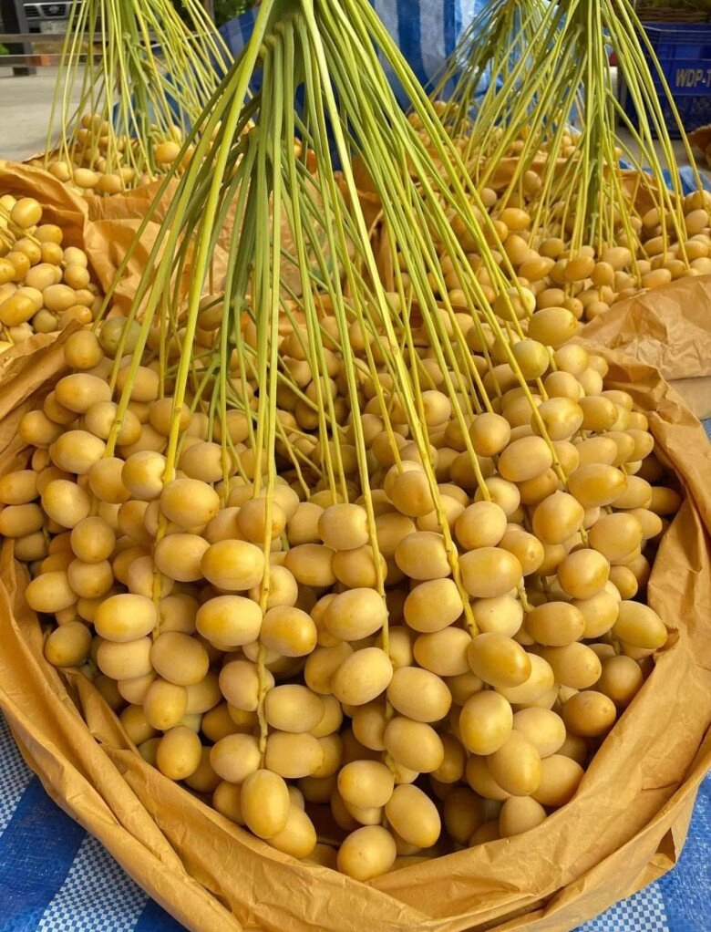 Thứ quả nhà giàu nay ngập tràn đường phố hà nội người ăn thấy mê người chê chưa đủ xuất sắc - 4