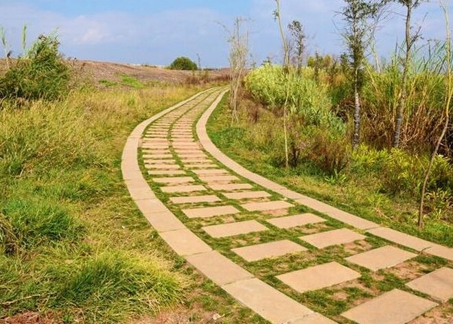 Trắc nghiệm tâm lý nếu lạc đường bạn sẽ chọn lối nào - 3