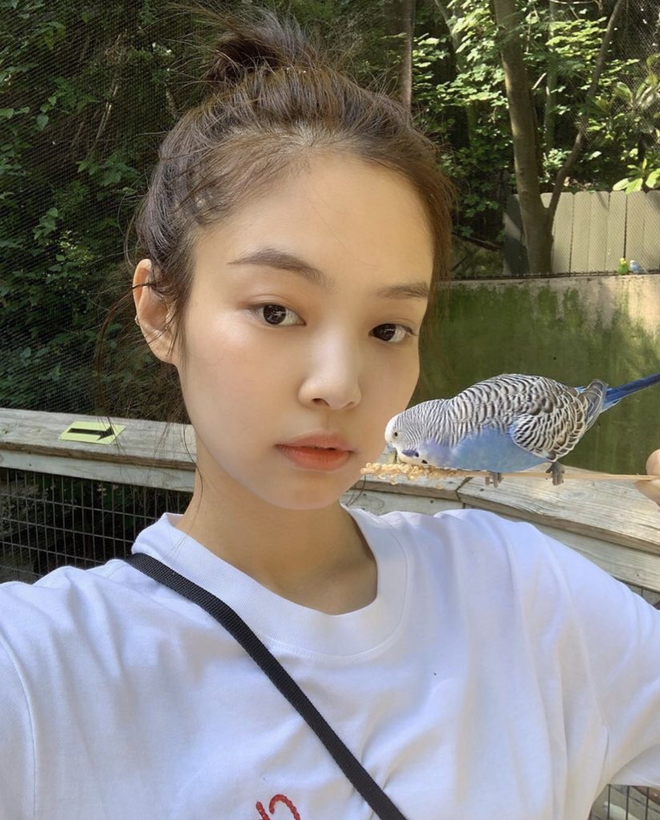 Vì sao jennie blackpink luôn mang vòi hoa sen đi diễn khắp hành tinh câu trả lời thấy ngay ở làn da nàng thơ - 6