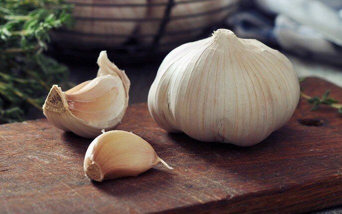 Vì sao tỏi ở siêu thị không mọc mầm nhưng mang về nhà vài ngày lại nhú mầm đọc xong mới vỡ lẽ - 2