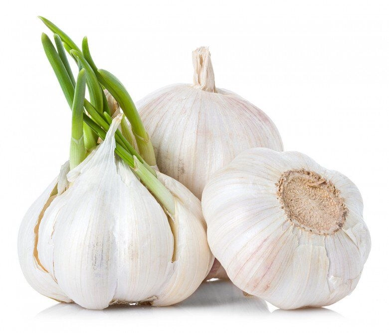 Vì sao tỏi ở siêu thị không mọc mầm nhưng mang về nhà vài ngày lại nhú mầm đọc xong mới vỡ lẽ - 3