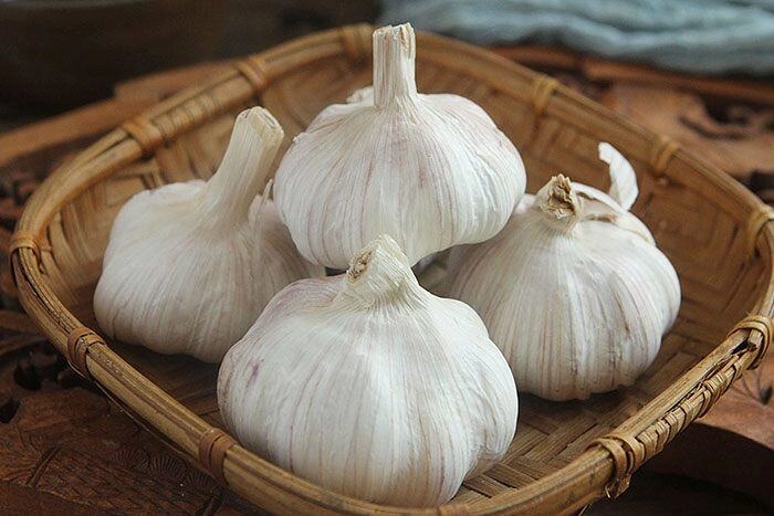 Vì sao tỏi ở siêu thị không mọc mầm nhưng mang về nhà vài ngày lại nhú mầm đọc xong mới vỡ lẽ - 4