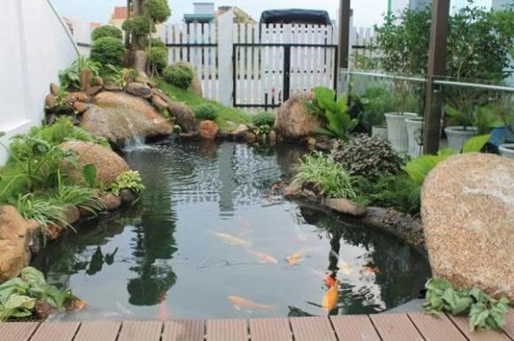 Vì sao trước nhà có nước con cháu đời đời giàu có được xem là phong thủy tốt - 2