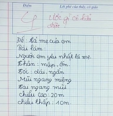 Viết văn tả về người mẹ không có thật cậu bé lớp 2 bị cô giáo chấm 4 điểm - 1