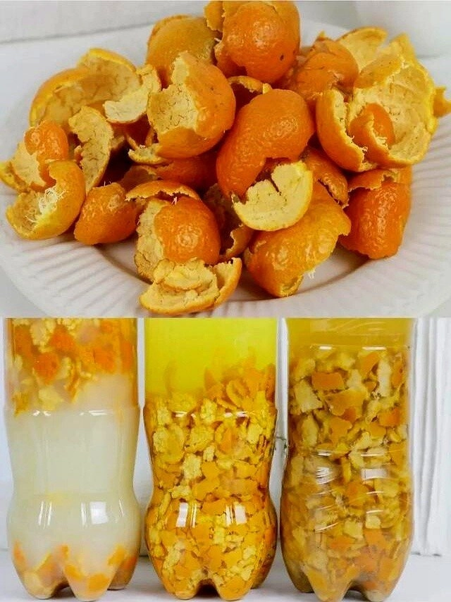 Vỏ cam ăn xong đừng vội bỏ đi biết sớm 3 công dụng này của nó tiết kiệm cả khối tiền - 4