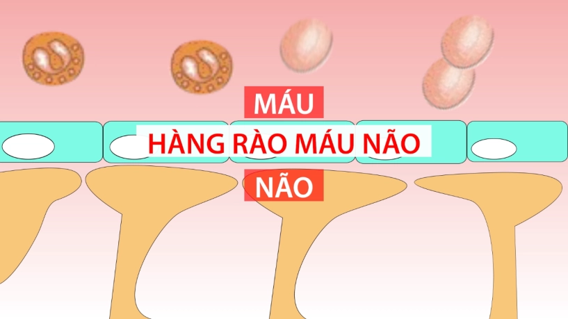 Xem ngay bí quyết giảm muối hiệu quả mà vẫn giữ nguyên vị ngon cho món ăn - 5