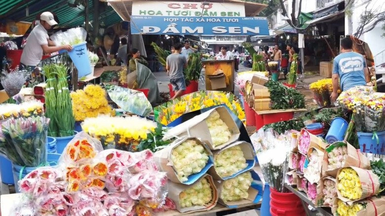 5 chợ hoa xuân không thể bỏ qua ở tphcm xuống phố lựa cây cảnh về trưng tết địa điểm cuối còn khám phá được nét đẹp 3 miền - 3
