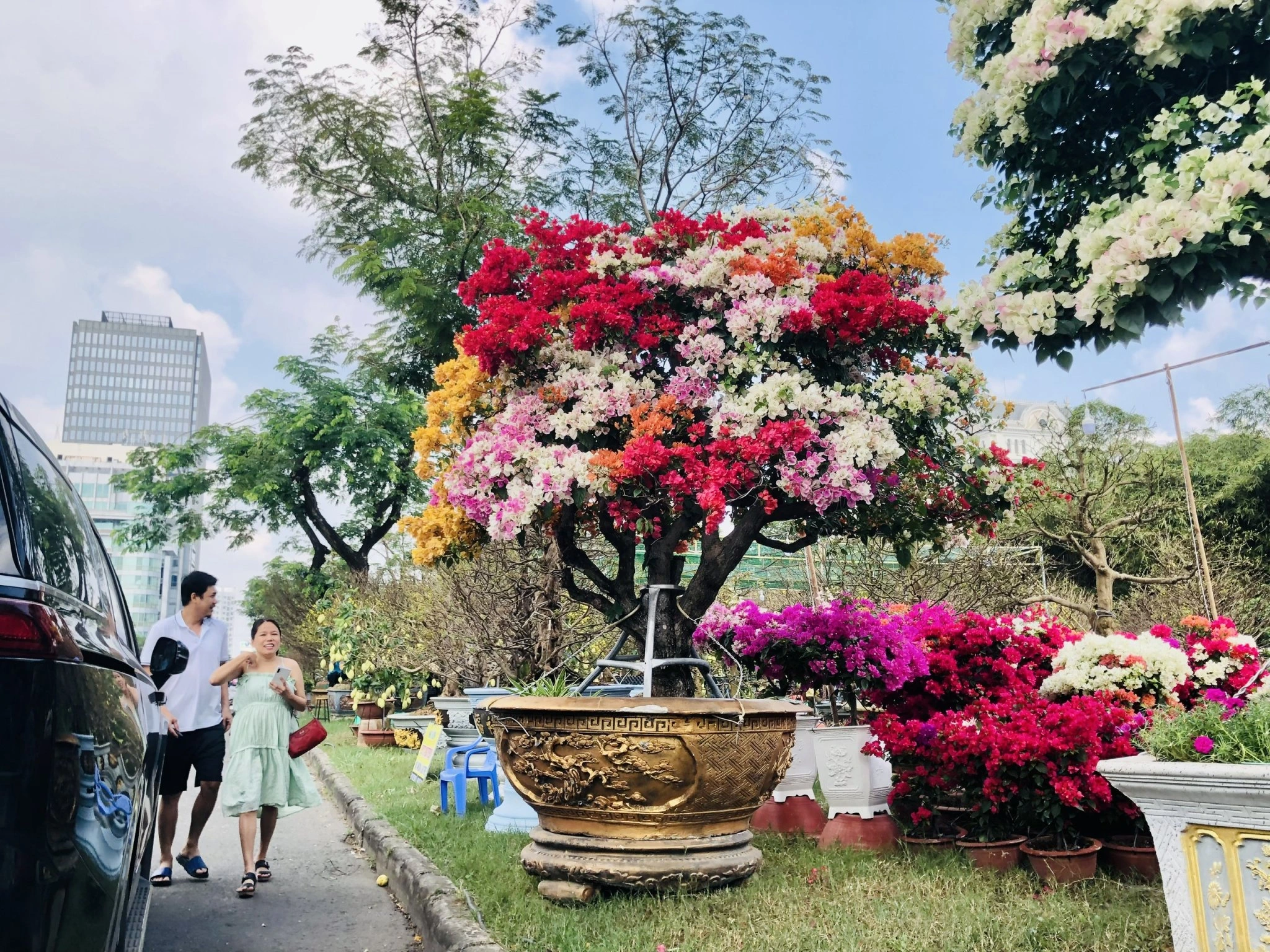 5 chợ hoa xuân không thể bỏ qua ở tphcm xuống phố lựa cây cảnh về trưng tết địa điểm cuối còn khám phá được nét đẹp 3 miền - 4