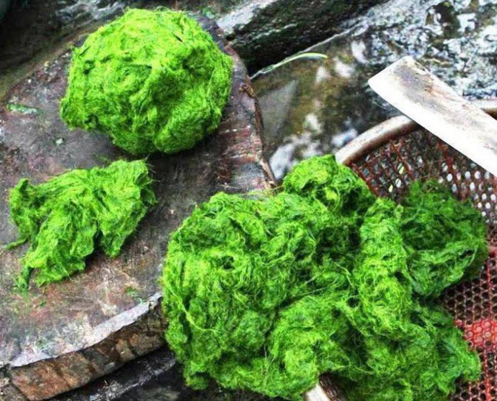 6 đặc sản phú thọ mua về làm quà thì miễn chê có món nhặt từ dưới suối nay thành đặc sản nhiều người lùng mua - 6