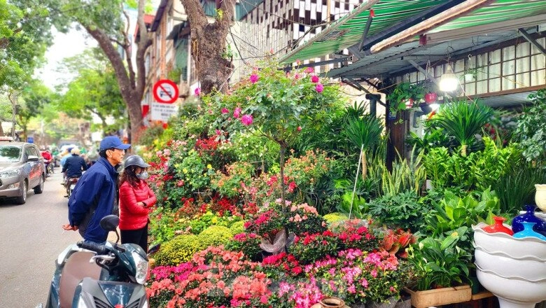 7 khu chợ nổi tiếng nhộn nhịp nhất hà nội vào dịp tết tha hồ mua đồ trang trí cây cảnh không thiếu thứ gì - 4