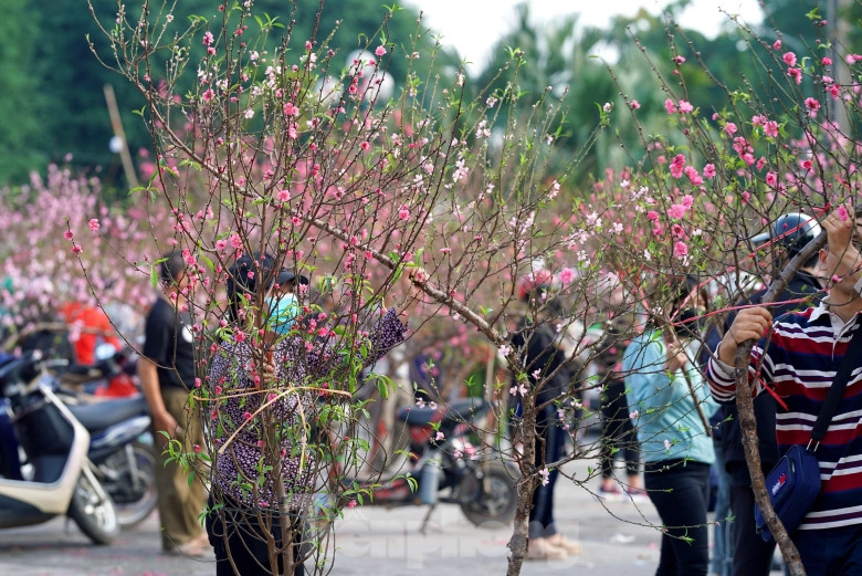 7 khu chợ nổi tiếng nhộn nhịp nhất hà nội vào dịp tết tha hồ mua đồ trang trí cây cảnh không thiếu thứ gì - 6