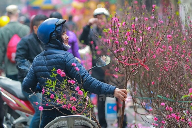 7 khu chợ nổi tiếng nhộn nhịp nhất hà nội vào dịp tết tha hồ mua đồ trang trí cây cảnh không thiếu thứ gì - 7
