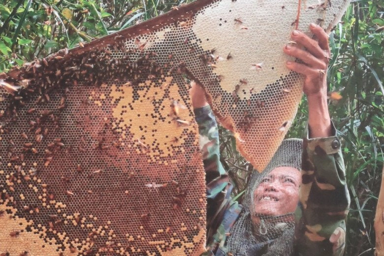 8 đặc sản cà mau mua về làm quà thì không có chỗ chê ai nhận cũng tấm tắc khen khéo chọn - 1