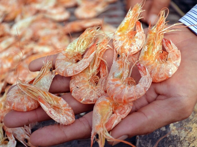 8 đặc sản cà mau mua về làm quà thì không có chỗ chê ai nhận cũng tấm tắc khen khéo chọn - 8