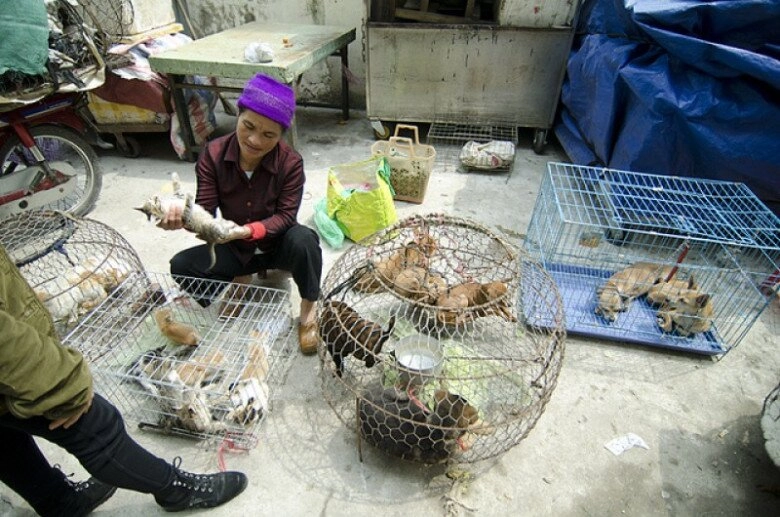Ảnh hiếm của khu chợ lâu đời bậc nhất thủ đô đến nay vẫn duy trì dù qua bao thăng trầm lịch sử - 5