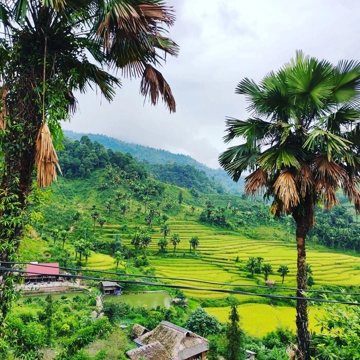 Bản liền - điểm khởi đầu dịu dàng cho hành trình chữa lành quên phố thị tìm về với bình yên - 4