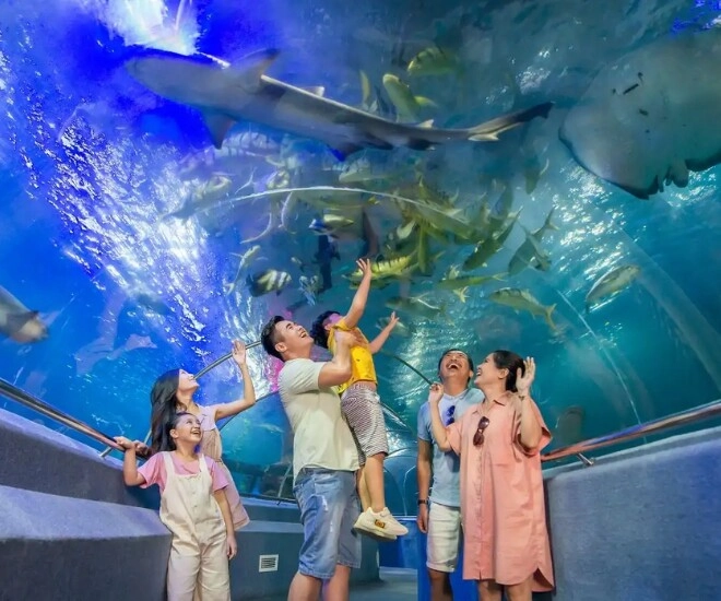 Bảo tàng hải dương học nha trang - đại dương thu nhỏ tuyệt đẹp giữa lòng thành phố - 1