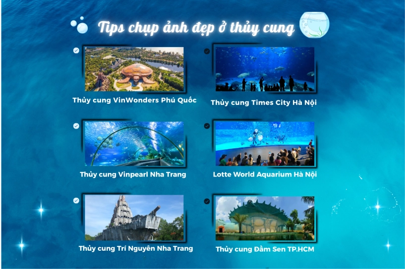 Bật mí góc sống ảo cực đẹp ở thủy cung giới trẻ như lạc vào thế giới cổ tích - 5