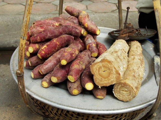 bật vật dưới lòng đất xưa ăn cứu đói nay thành đặc sản khoái khẩu với người thành phố hương vị đặc biệt - 2