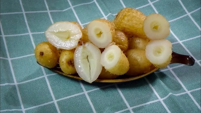 báu vật dưới lòng đất có tên lạ mỗi năm thu hoạch 1 lần là món ăn tuổi thơ của người miền tây nay trở thành đặc sản - 2