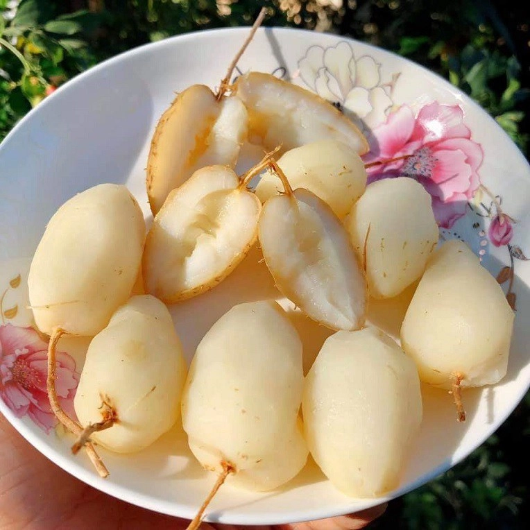 báu vật dưới lòng đất có tên lạ mỗi năm thu hoạch 1 lần là món ăn tuổi thơ của người miền tây nay trở thành đặc sản - 3