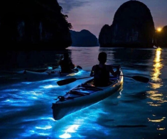 Biển hạ long phát sáng kỳ ảo trong đêm netizen rần rần săn lùng hiện tượng phim viễn tưởng ngoài đời thực - 2