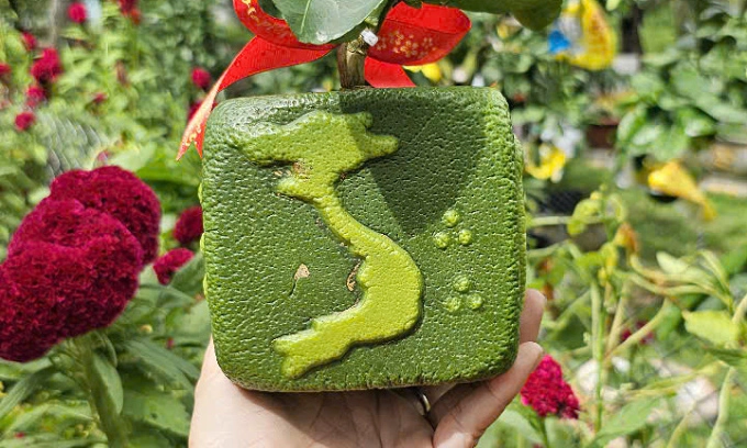 Bưởi vuông in hình ngôi sao bản đồ việt nam cháy hàng - 1