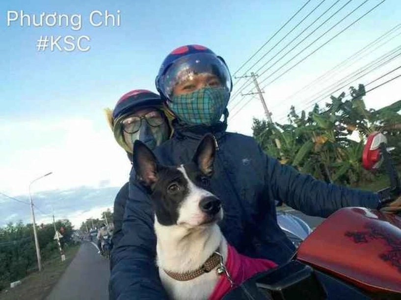 Các con sen đưa boss về quê ăn tết nhìn ôm bụng cười - 8