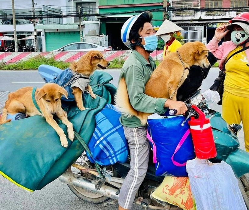 Các con sen đưa boss về quê ăn tết nhìn ôm bụng cười - 10