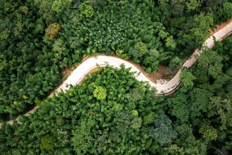 Cách hà nội 300km có khu rừng kỳ bí hút khách du lịch thập phương vì vẻ đẹp tựa tranh vẽ nơi nào check-in cũng đẹp - 4
