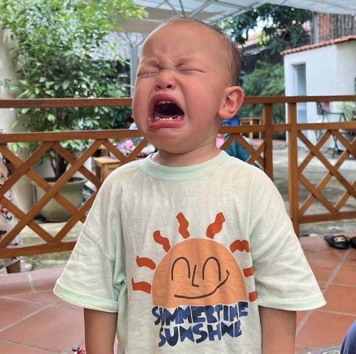 Cặp song sinh nhà hồ ngọc hà không còn nhỏ nhất trường út ú leon ngày nào khóc nhè khi đi học giờ đã khác - 6