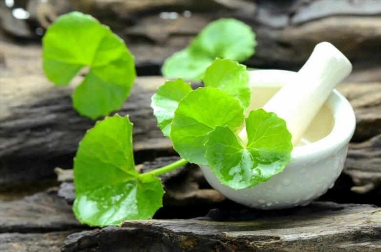 Cây dại ở bờ bụi xưa dành cho người nghèo nay thành món khoái khẩu dân thành phố tranh nhau mua giá đắt đỏ - 2