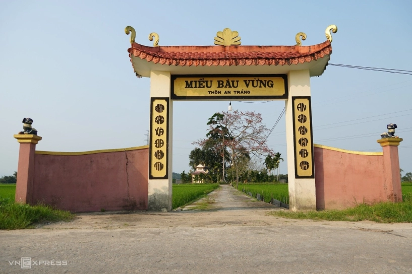Cây gạo trăm năm nở rực bên bến đò xưa sông trà khúc - 8