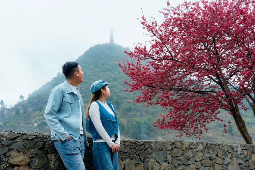 Cây mai anh đào đỏ hà giang hút khách sau tết - 2