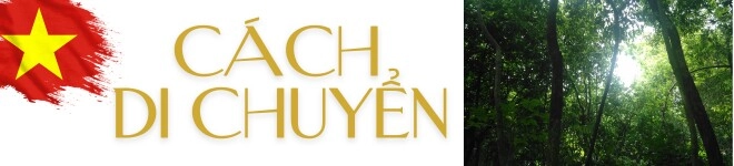 Check-in khu di tích lịch sử địa đạo củ chi nằm bí ẩn trong lòng đất hot nhất dịp 304 - 4