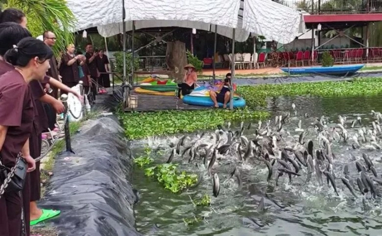 Check-in quê hương tân hoa hậu nguyễn ngọc kiều duy có đặc sản ăn một lần là ghiền được xem xiếc cá cực độc đáo - 5