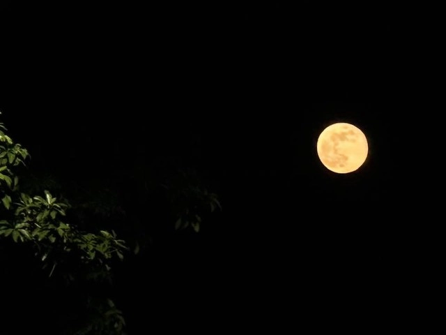 Chiêm ngưỡng mặt trăng đỏ thẫm trong nguyệt thực toàn phần đêm qua - 4