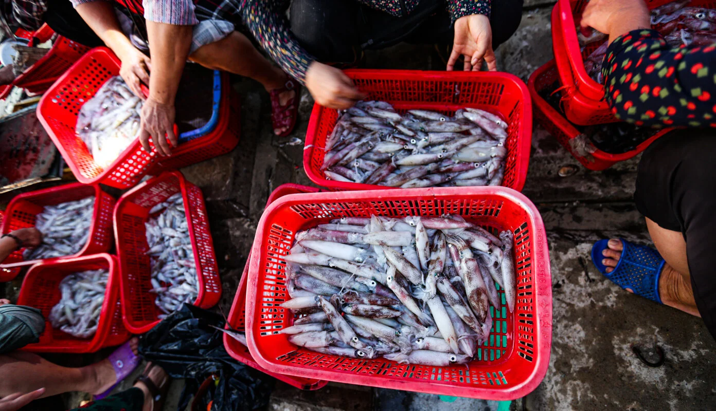 Chợ cá lâu đời nhất hà tĩnh tồn tại hàng trăm nhờ bán hải sản tươi rói với giá cực rẻ - 2