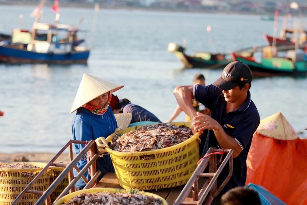 Chợ cá lâu đời nhất hà tĩnh tồn tại hàng trăm nhờ bán hải sản tươi rói với giá cực rẻ - 4