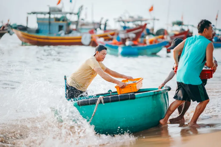 Chợ cá sầm uất bậc nhất quảng bình chỉ dân địa phương biết phải dậy thật sớm mới mua được hải sản ngon-bổ-rẻ - 6