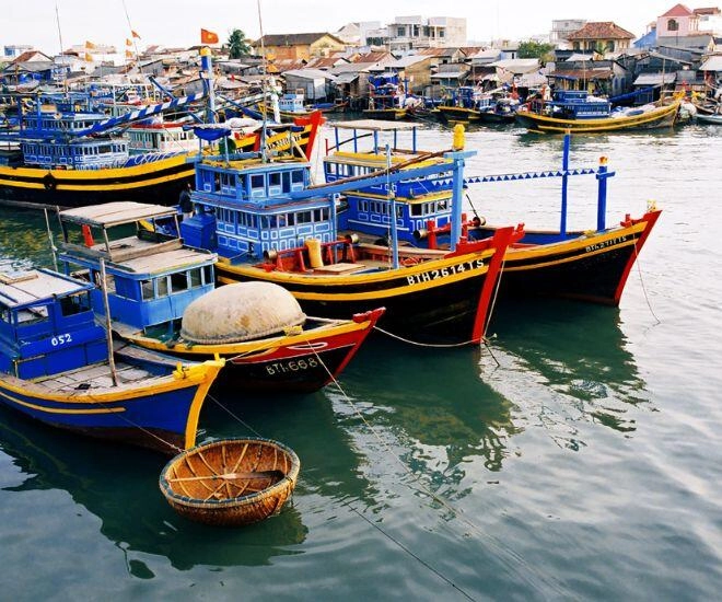 Chợ cá tồn tại mấy trăm năm giữa lòng phan thiết là một trong những nơi bán hải sản ngon-bổ-rẻ bậc nhất - 1