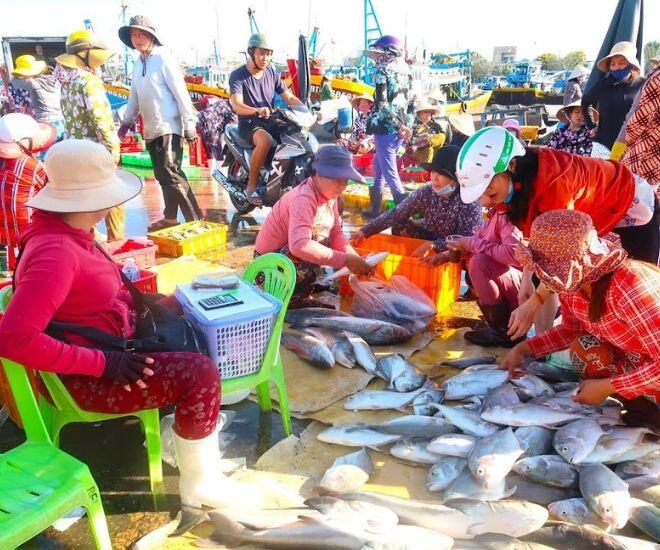 Chợ cá tồn tại mấy trăm năm giữa lòng phan thiết là một trong những nơi bán hải sản ngon-bổ-rẻ bậc nhất - 2