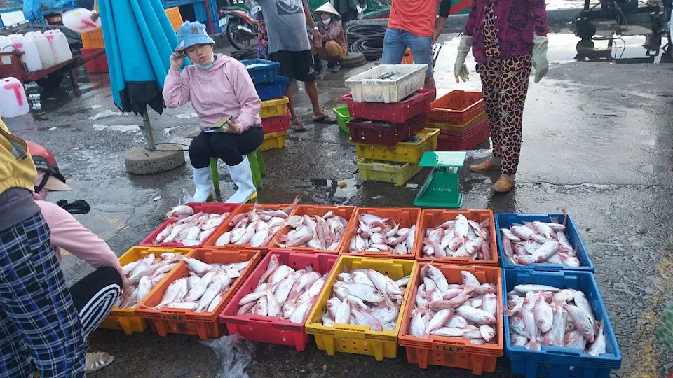 Chợ cá tồn tại mấy trăm năm giữa lòng phan thiết là một trong những nơi bán hải sản ngon-bổ-rẻ bậc nhất - 4